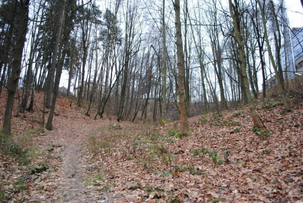 Ilustrační foto