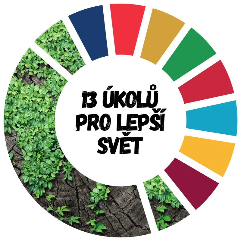 Projekt Get up and Goals! vyhlásil tento měsíc výzvu "13 úkolu pro lepší svět". Splňte nějaký a pochlubte se!