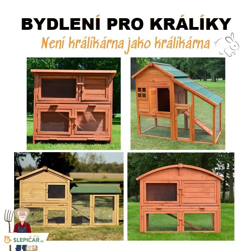 Slepičář: O slepice je stále větší zájem. Lidé chtějí žít zdravě, mít ke snídani domácí vajíčka