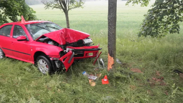 Řidiči do cesty vběhla srna. Na mokré silnici dostal smyk a čelně narazil do stromu