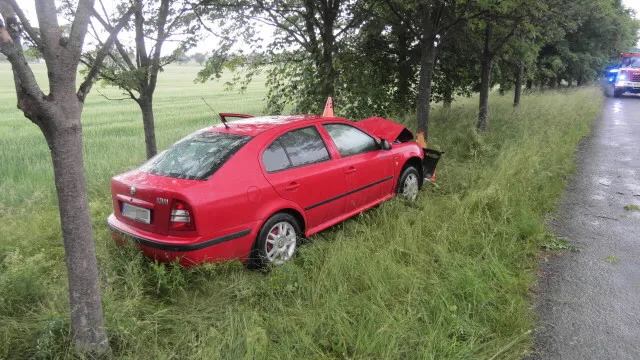 Řidiči do cesty vběhla srna. Na mokré silnici dostal smyk a čelně narazil do stromu