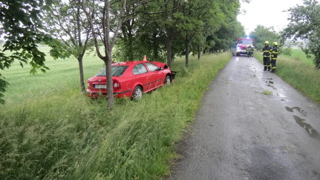 Řidiči do cesty vběhla srna. Na mokré silnici dostal smyk a čelně narazil do stromu