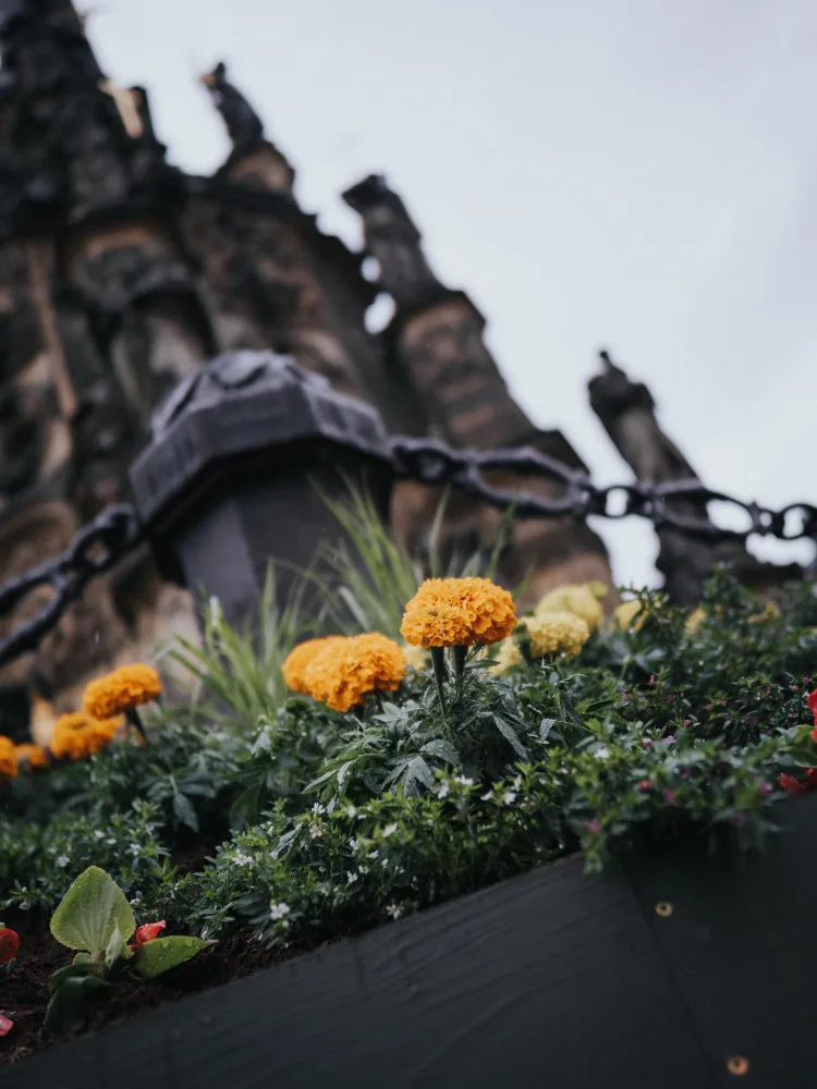 FOTO: Na olomouckém Horním náměstí vykvetl Sloup Nejsvětější Trojice. Jak se vám líbí?