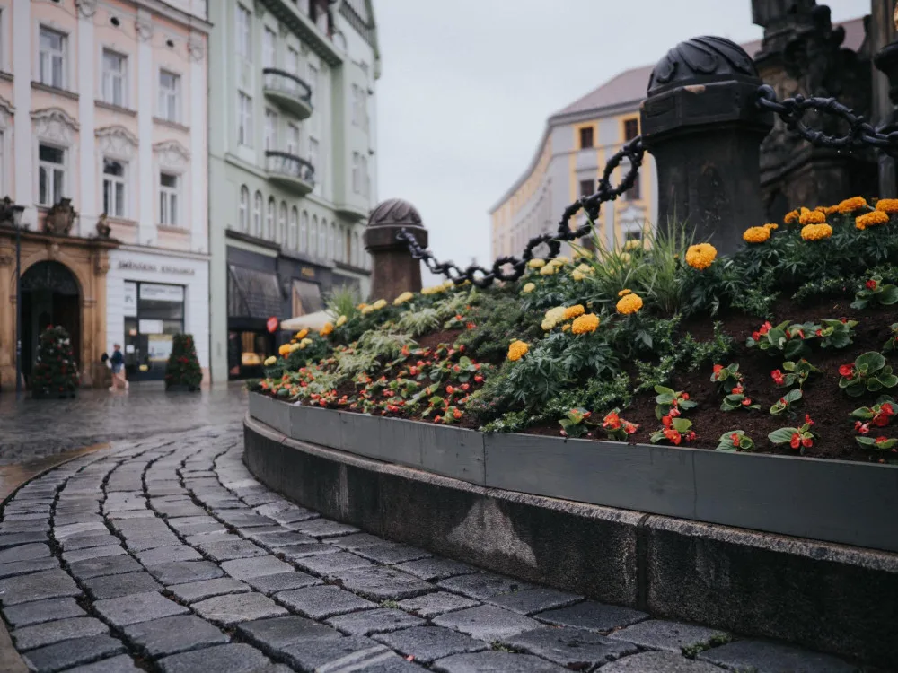 FOTO: Na olomouckém Horním náměstí vykvetl Sloup Nejsvětější Trojice. Jak se vám líbí?