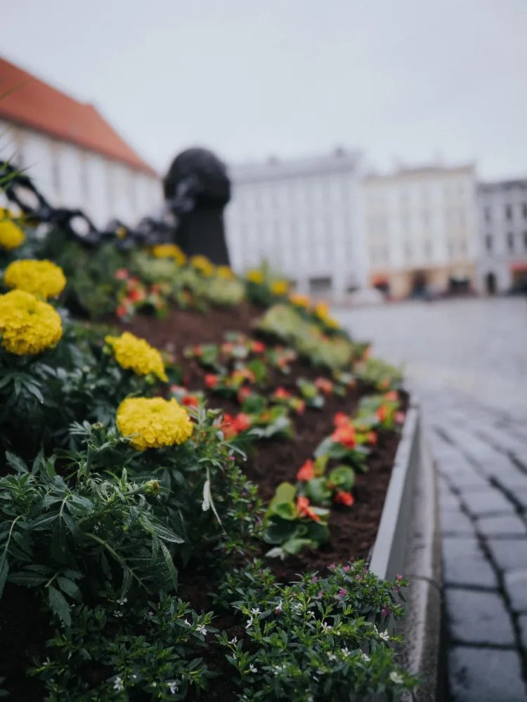 FOTO: Na olomouckém Horním náměstí vykvetl Sloup Nejsvětější Trojice. Jak se vám líbí?