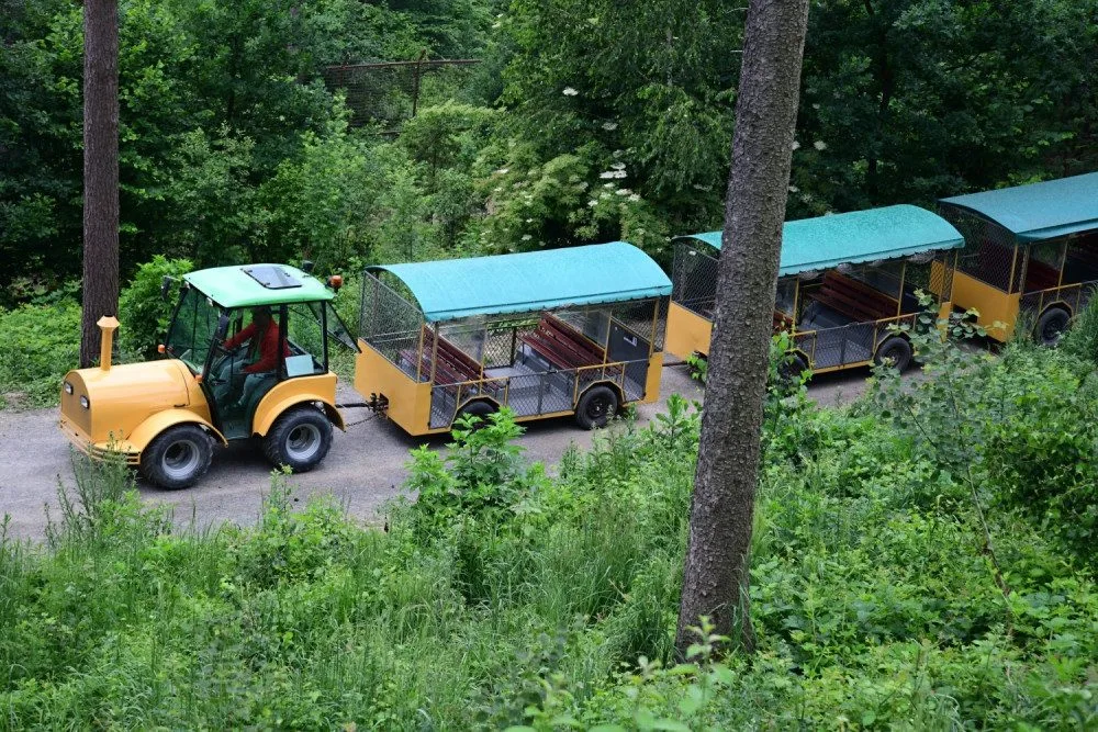 FOTO: První vlčí safari v republice! Olomoucká zoo dnes zahájila provoz safarivláčku