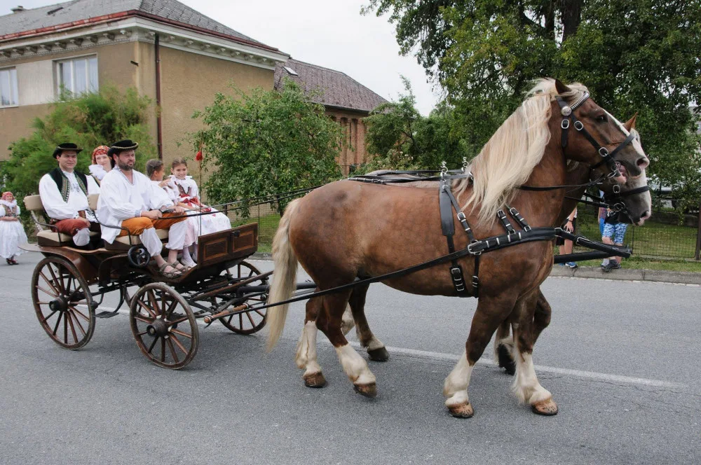 První červencový víkend nabídně Jízdu králů v Doloplazech. Bude krojované mše i koncerty