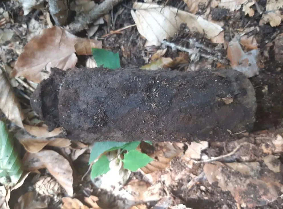 Houbaři si s sebou do lesa vzali i detektor kovů. Místo hub našli ruční granát