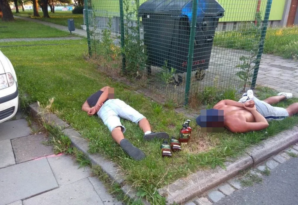 Dva zloději kradli v obchodě přesně ve chvíli, kdy u pokladny stála dvojice strážníků. Daleko neutekli