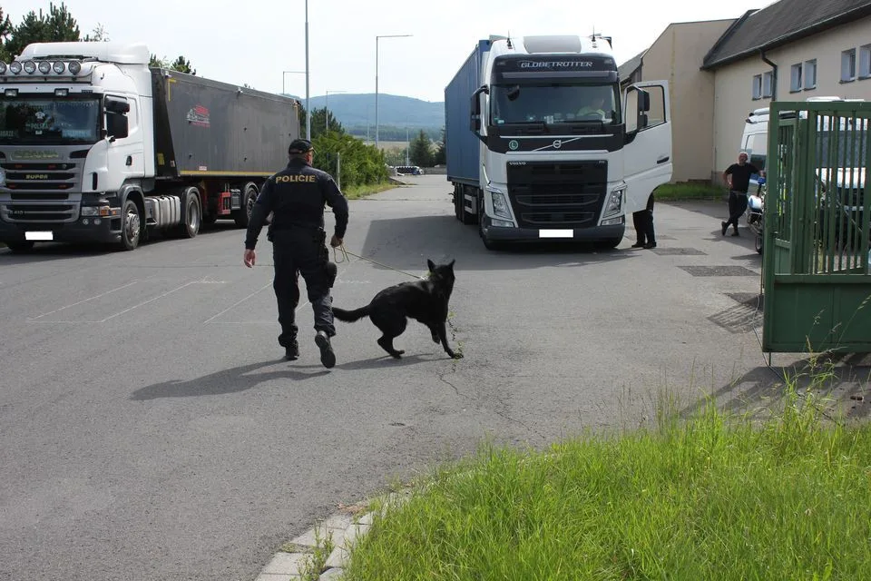 Dálniční policisté kontrolovali u Přáslavic nákladní vozidla. Zjistili 19 přestupků u 25 řidičů