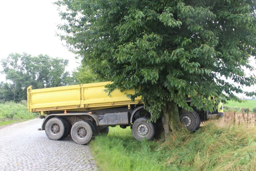 FOTO: Řidič s náklaďákem havaroval do stromu. Škoda je vyčíslena na 100 tisíc korun