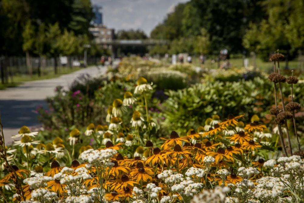 Flora Olomouc