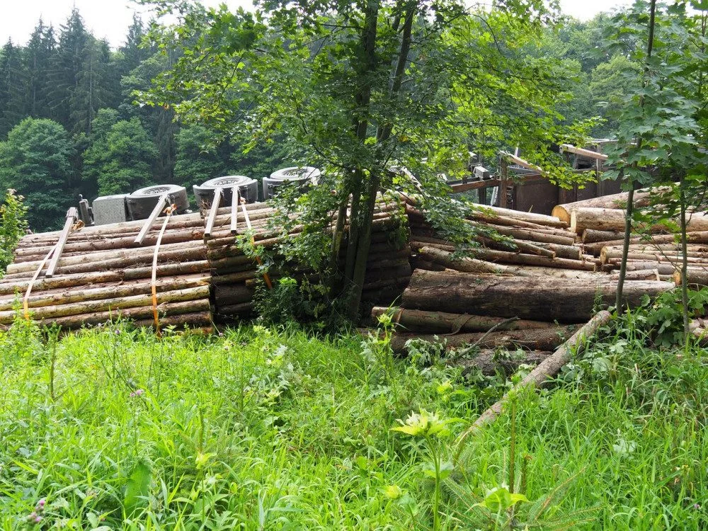 Pod naloženým kamionem se dřevem se utrhla krajnice. Škoda se vyšplhala k milionu korun