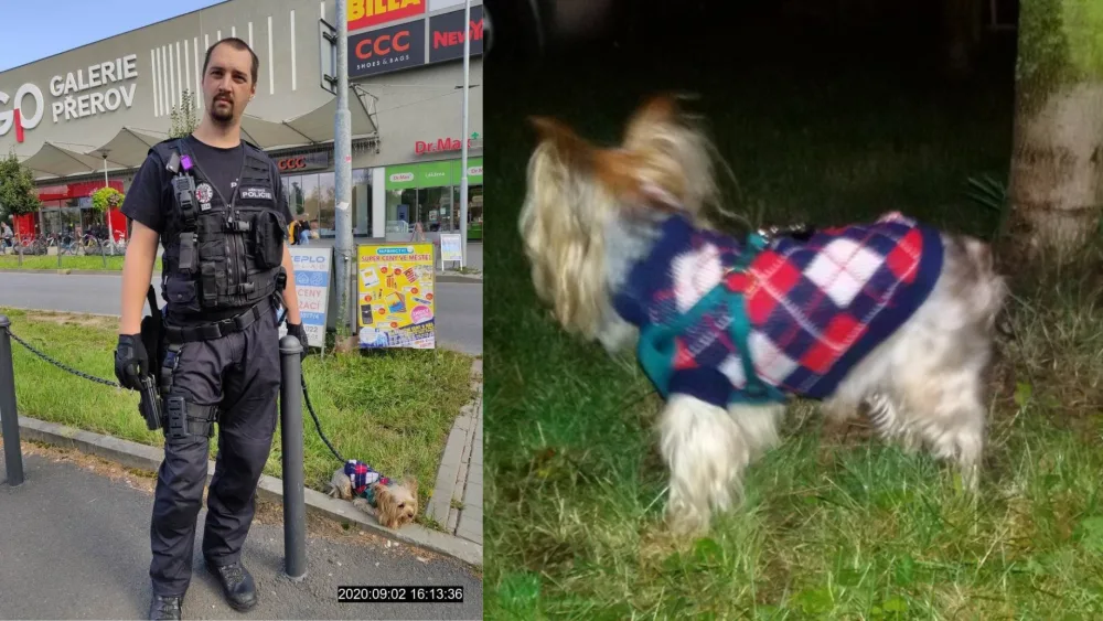 Jorkšír ve svetru zaměstnal hned tři hlídky. Strážnici ho odchytili až po 17 hodinách