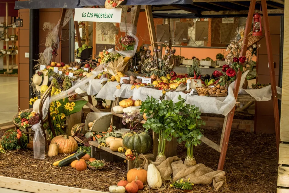 Blíží se podzimní výstava Flora Olomouc. Poukáže na vnitřní krásu rostlin a zdraví plodů