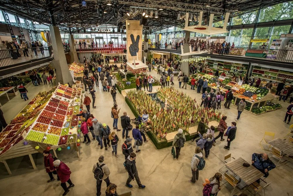 Blíží se podzimní výstava Flora Olomouc. Poukáže na vnitřní krásu rostlin a zdraví plodů