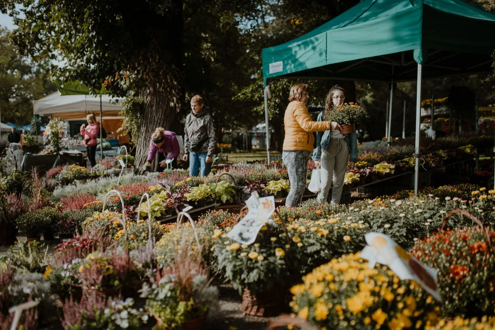 FOTO: Čtyřdenní podzimní Flora Olomouc zaznamenala poloviční návštěvnost.