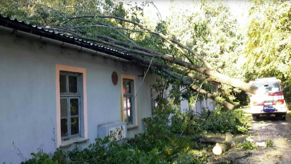 FOTO: Více než 220 výjezdů hasičů v kraji. Silný vítr o víkendu nejčastěji vyvracel stromy