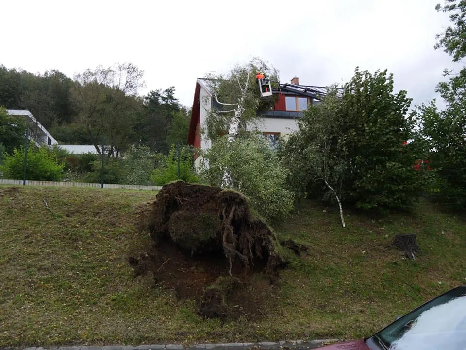 FOTO: Více než 220 výjezdů hasičů v kraji. Silný vítr o víkendu nejčastěji vyvracel stromy