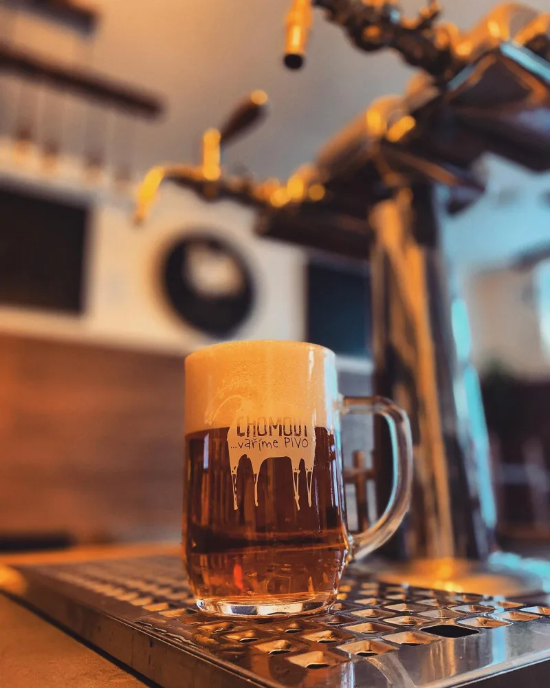 Nejlepší kuře ve městě? Olomoucké bistro U Ptáka si oblíbil i gastronadšenec Lukáš Hejlík