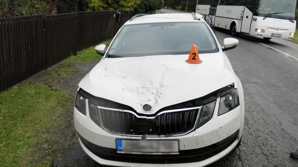 Během jízdy spadl řidiči na kapotu auta spadl strom