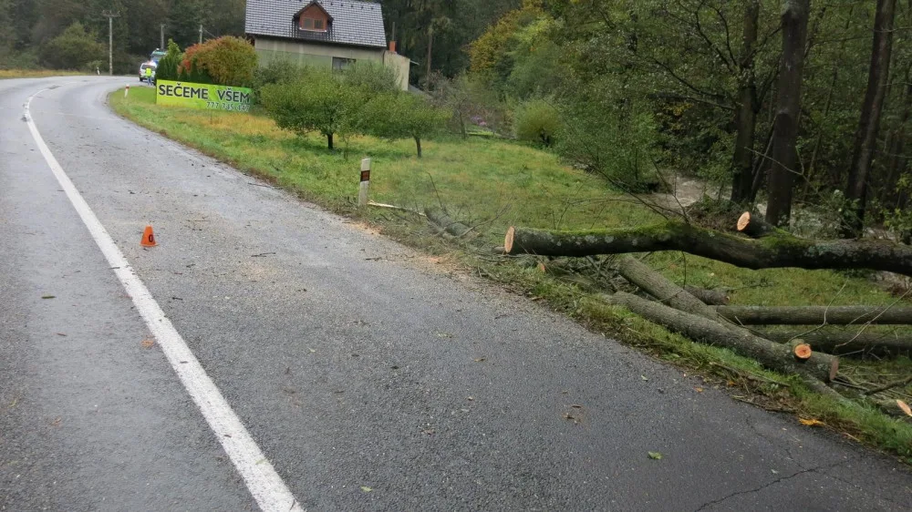 Během jízdy spadl řidiči na kapotu auta spadl strom