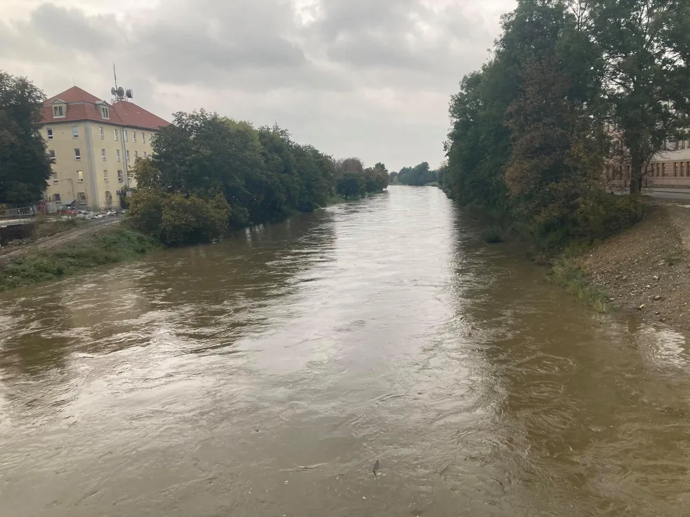 Řeka Morava dnes ráno.