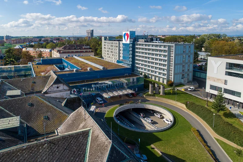 ilustrační foto