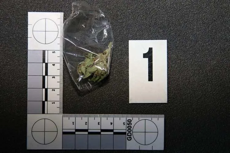 FOTO: Policisté opět našli pervitin a marihuanu u stejného muže. Zatím je na svobodě