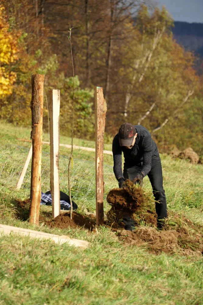 Jeseničtí obyvatelé vysadili ovocný sad, sloužit má mimo jiné ke vzdělávání dětí
