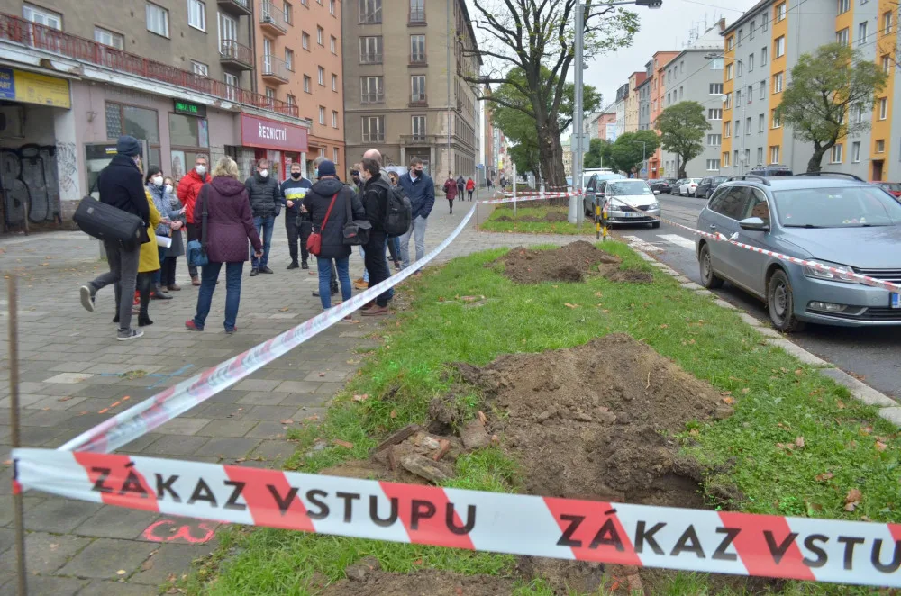Výsadba stromů Masarykova ulice Olomouc