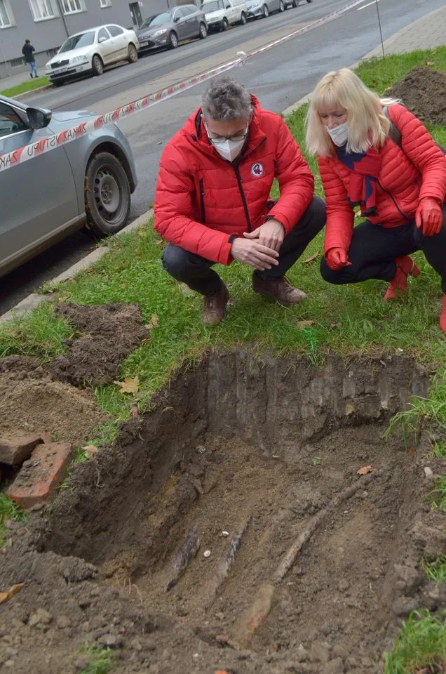 Výsadba stromů Masarykova ulice Olomouc