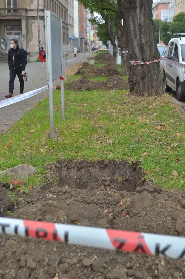 Výsadba stromů Masarykova ulice Olomouc