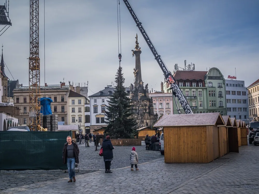 Olomouc už má vybraný vánoční strom. Podívejte se, jak bude vypadat