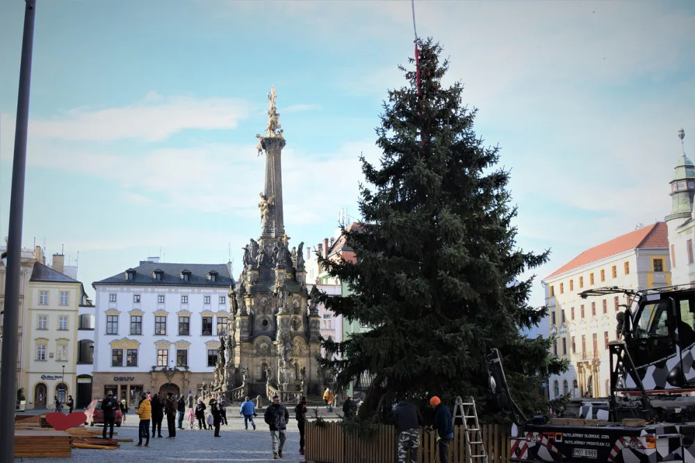 FOTO/VIDEO: Na olomouckém Horním náměstí již stojí vánoční stromeček. Jak se vám líbí?