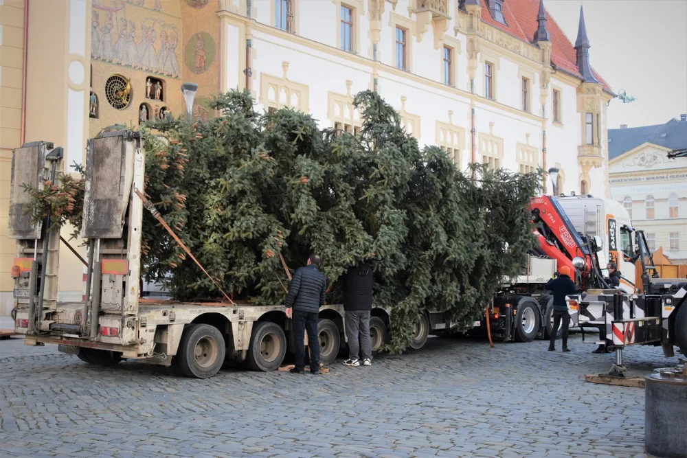 FOTO/VIDEO: Na olomouckém Horním náměstí již stojí vánoční stromeček. Jak se vám líbí?