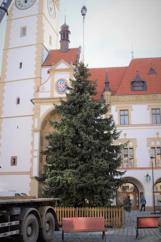 FOTO/VIDEO: Na olomouckém Horním náměstí již stojí vánoční stromeček. Jak se vám líbí?