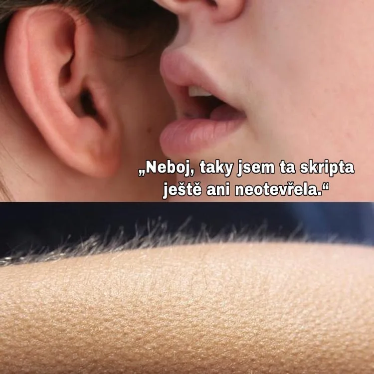 Autorka UPOL memes: Je to obecně důležitější než kdy předtím. Prozradí identitu?