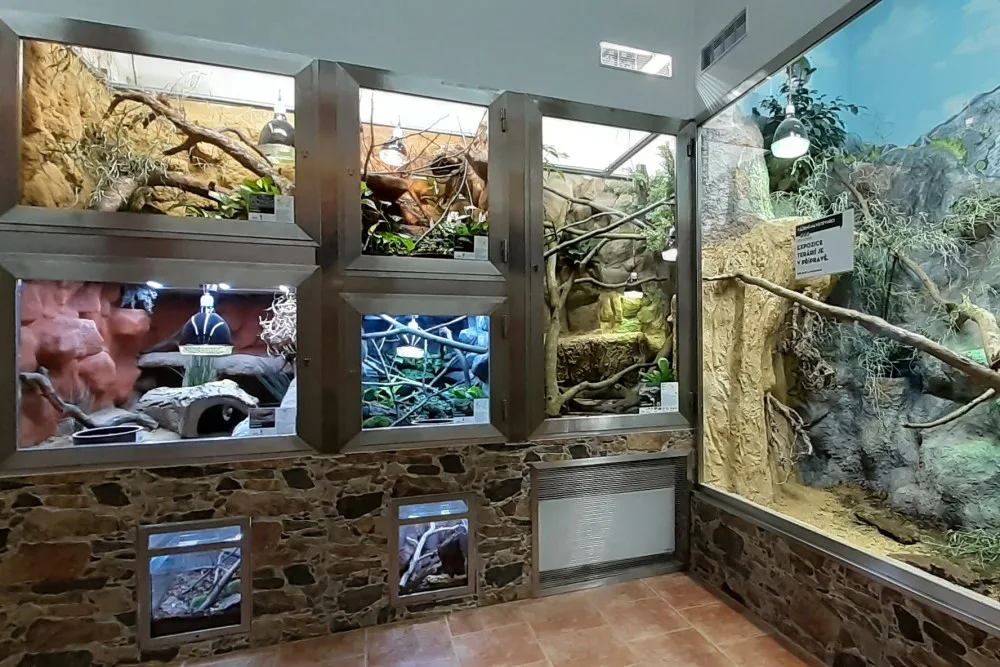 Olomoucká zoo rozšířila expozici s varany, užovkami a leguány