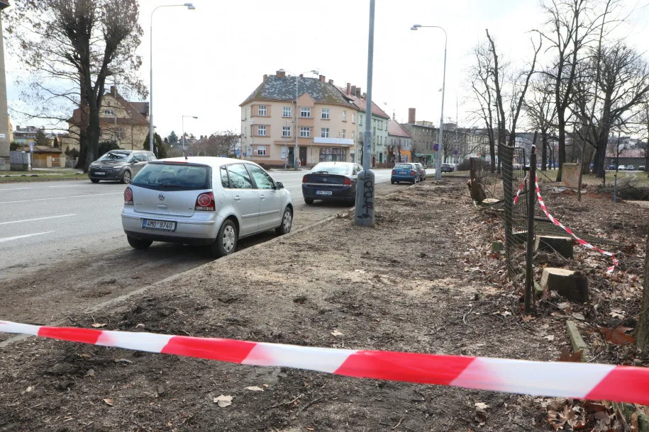 Olomoucká radnice připravuje revitalizaci parku. Začala kácet náletové dřeviny
