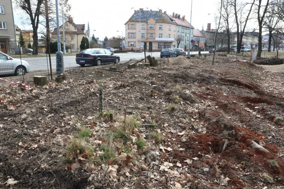 Olomoucká radnice připravuje revitalizaci parku. Začala kácet náletové dřeviny