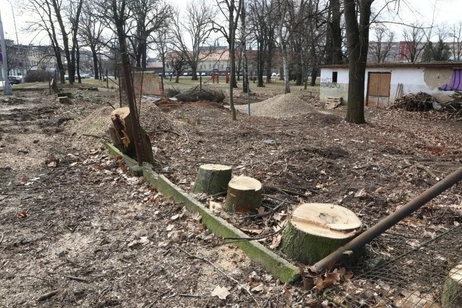 Olomoucká radnice připravuje revitalizaci parku. Začala kácet náletové dřeviny