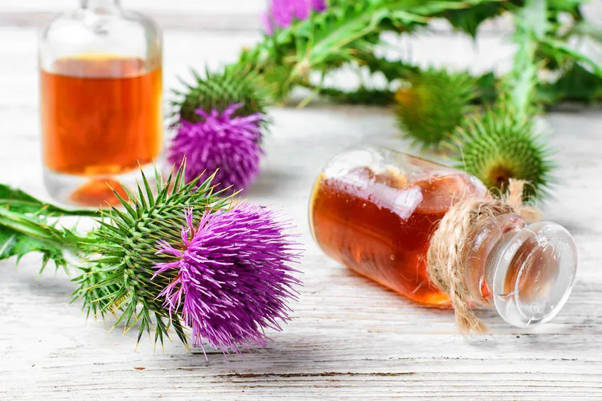 Jarní detox-Drbna-CZ