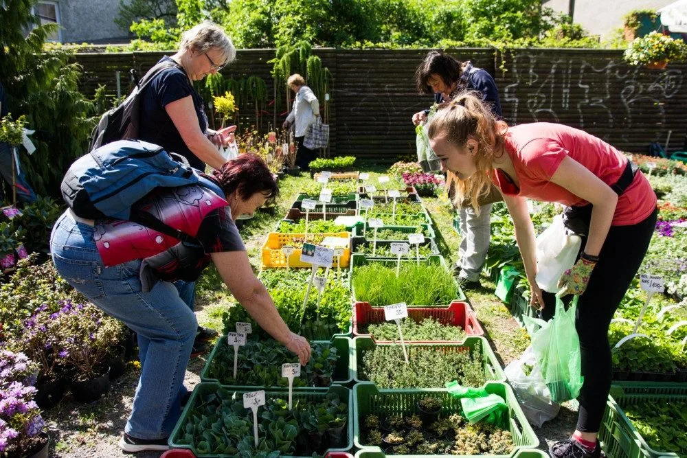 Olomoucké Výstaviště Flora začne pořádat selské a zahradnické trhy