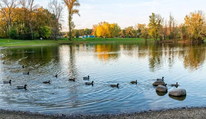 Voda v přerovské Laguně není vhodná ke koupání, potvrdily to rozbory