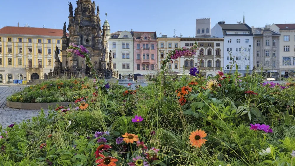 Květinová výzdoba na olomouckém Horním náměstí