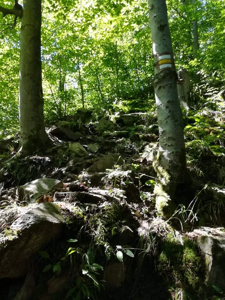 Žena si zranila nohu na vrcholu skály. Hasiči ji museli snést po strmé a úzké stezce