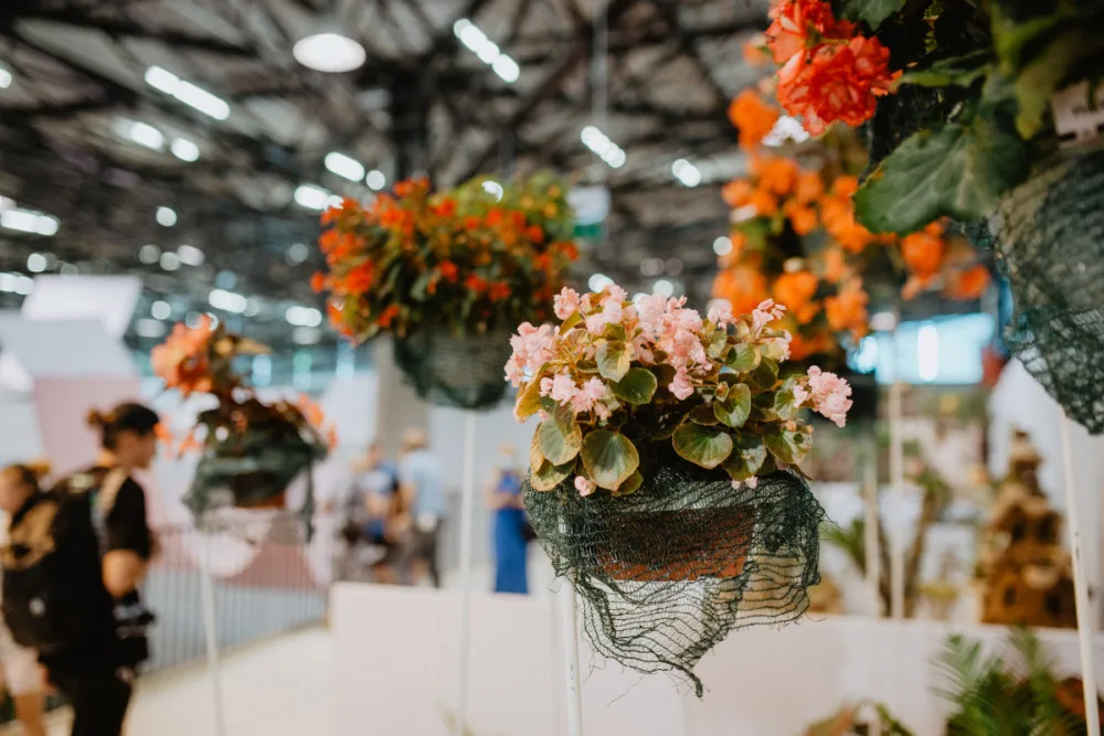 Letní Flora Olomouc připomene léčivou moc přírody i visuté zahrady