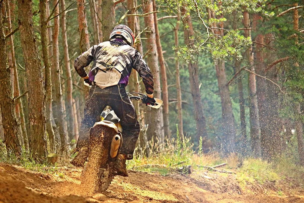 Motorkáři nedovolenou jízdou v lesích poškozují porosty a mohou ohrozit zvířata či další návštěvníky lesa - ilustrační foto