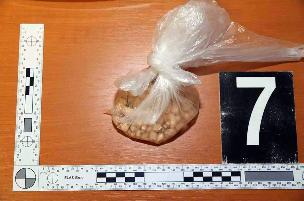 Tři druhy omamných a psychotropních látek vezl v zavazadle mladík ve vlaku mezi Hranicemi a Olomoucí
